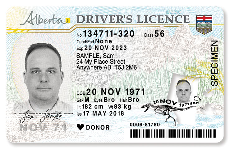 Class 5 Drivers License Bc